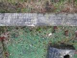 image of grave number 373164